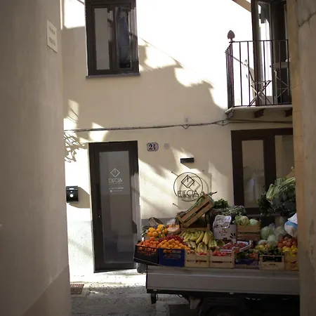 Elecla Lejlighed